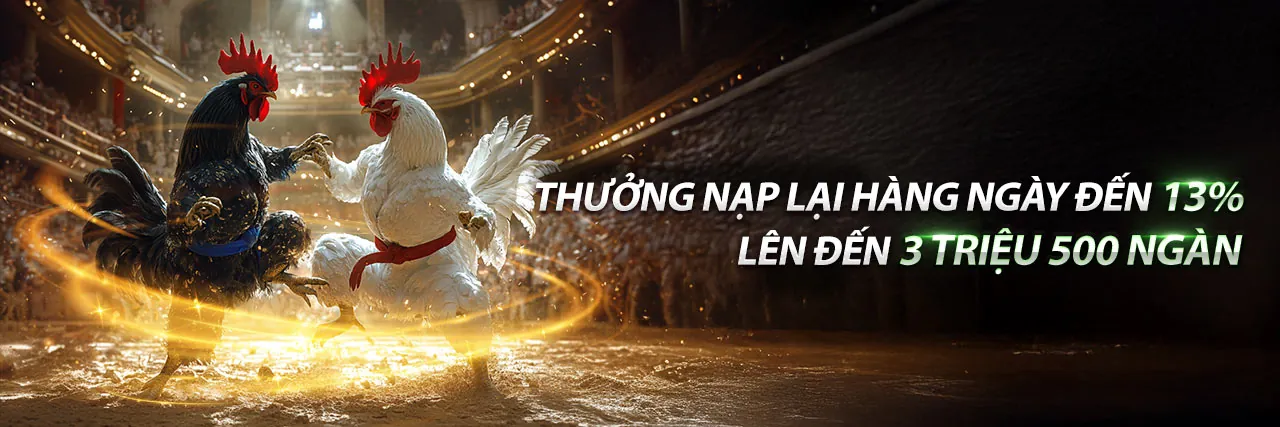 Sảnh Đá Gà Trực Tuyến ok83865 khuyến mãi